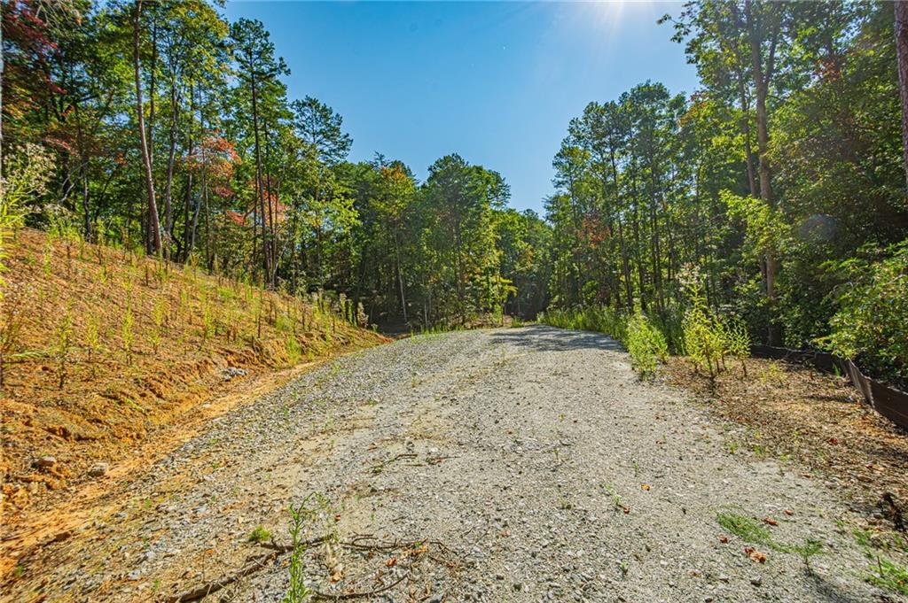 00 Ridgeway Road, Dahlonega, Georgia image 11