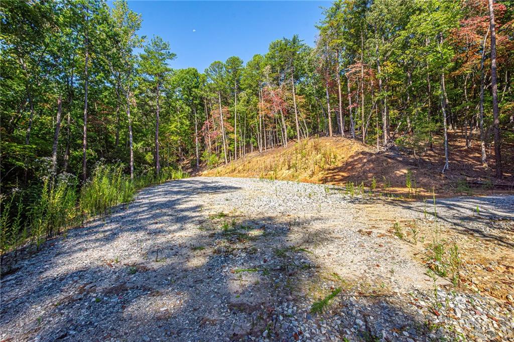 00 Ridgeway Road, Dahlonega, Georgia image 13