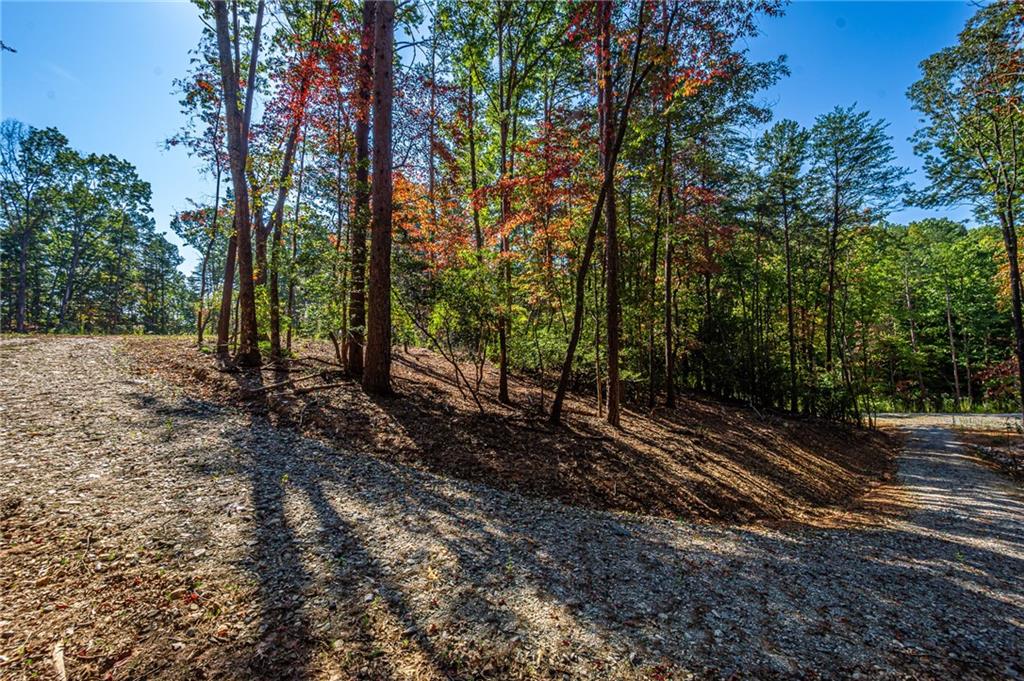 00 Ridgeway Road, Dahlonega, Georgia image 24
