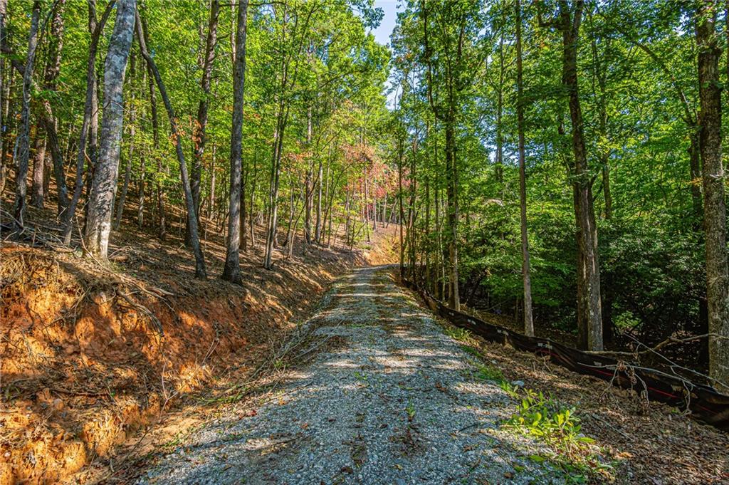 00 Ridgeway Road, Dahlonega, Georgia image 9