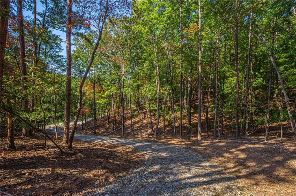 00 Ridgeway Road, Dahlonega, Georgia image 22