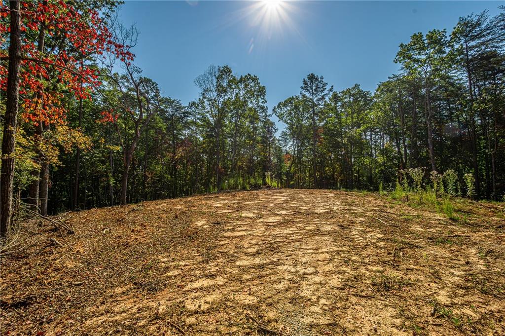 00 Ridgeway Road, Dahlonega, Georgia image 20