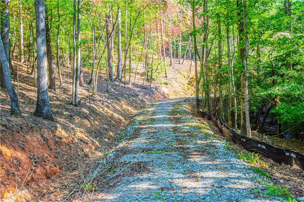 00 Ridgeway Road, Dahlonega, Georgia image 8