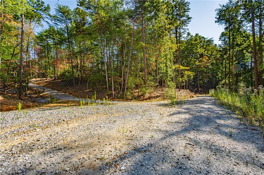 00 Ridgeway Road, Dahlonega, Georgia image 12