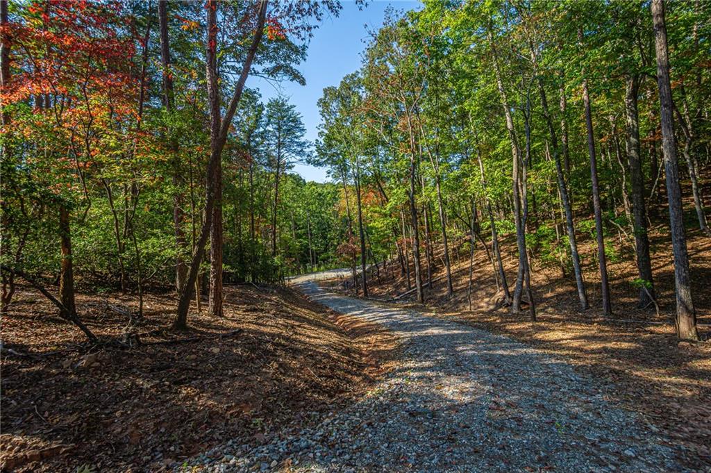 00 Ridgeway Road, Dahlonega, Georgia image 23