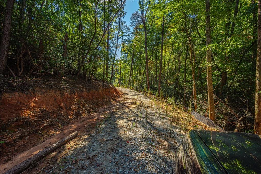 00 Ridgeway Road, Dahlonega, Georgia image 15