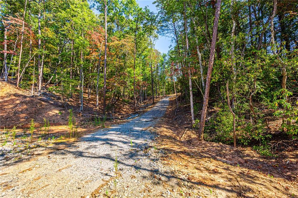 00 Ridgeway Road, Dahlonega, Georgia image 14