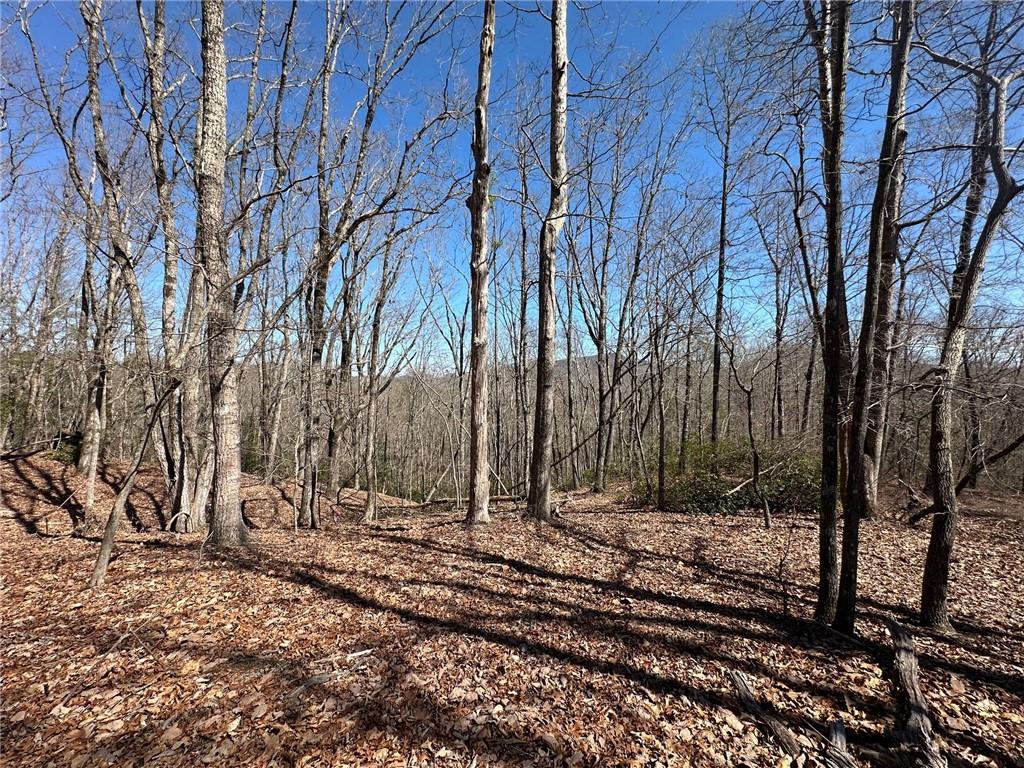6.2 Mincey Acres Drive, Murrayville, Georgia image 3