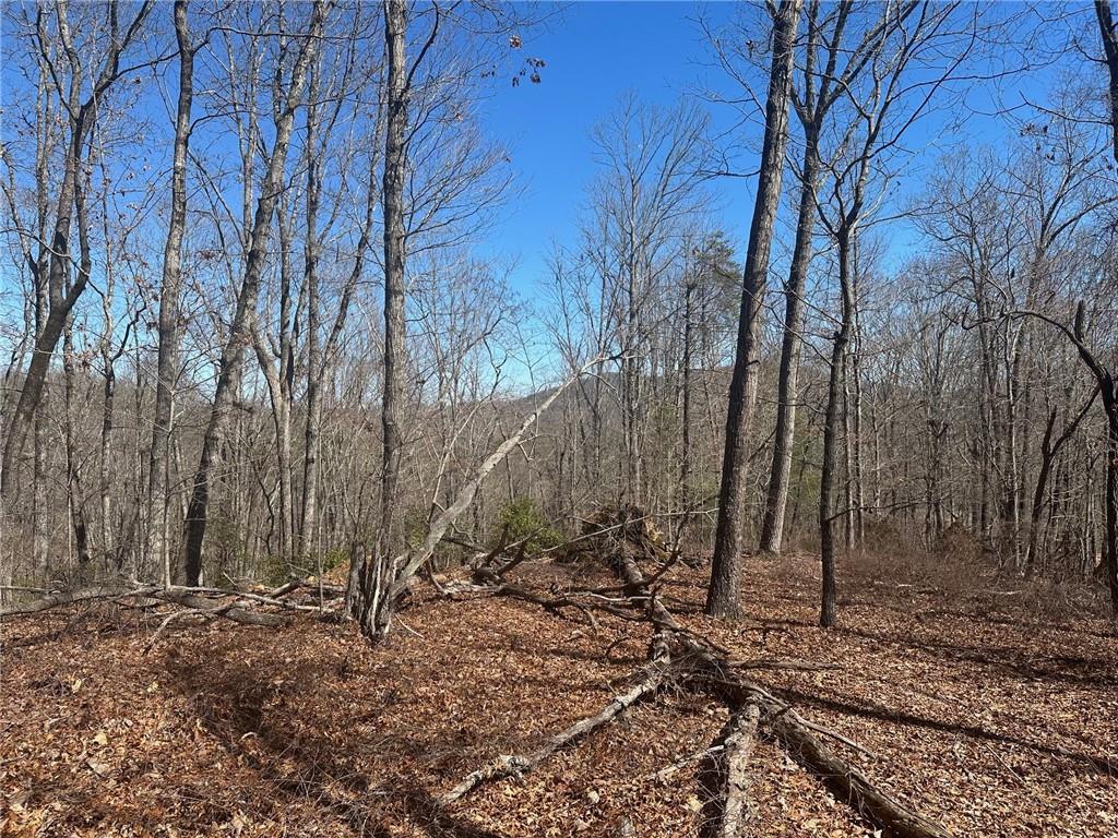 6.2 Mincey Acres Drive, Murrayville, Georgia image 6
