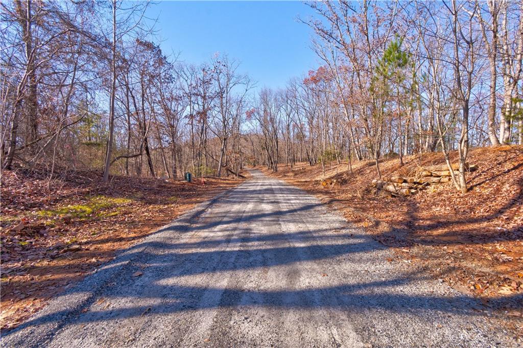 6.2 Mincey Acres Drive, Murrayville, Georgia image 11