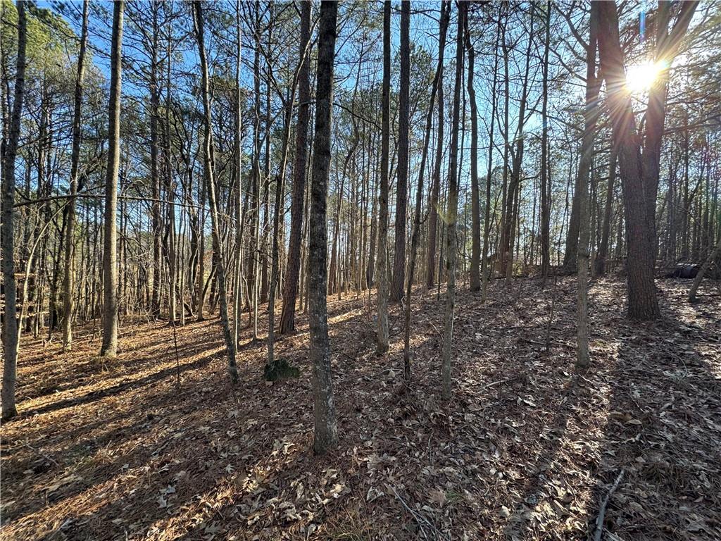 3370 Cowart Road, Dawsonville, Georgia image 14