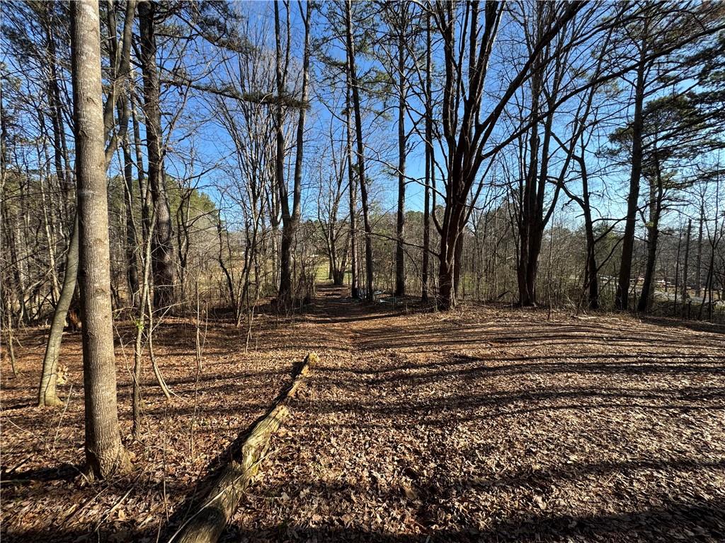 3370 Cowart Road, Dawsonville, Georgia image 6