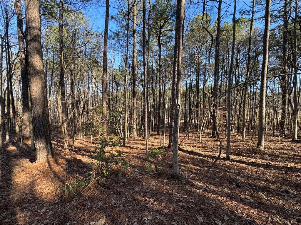 3370 Cowart Road, Dawsonville, Georgia image 13