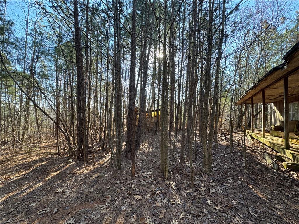 3370 Cowart Road, Dawsonville, Georgia image 3