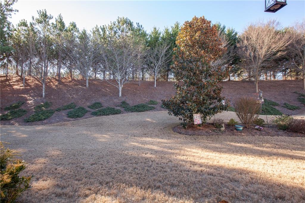 3445 Great Oak Drive, Gainesville, Georgia image 14