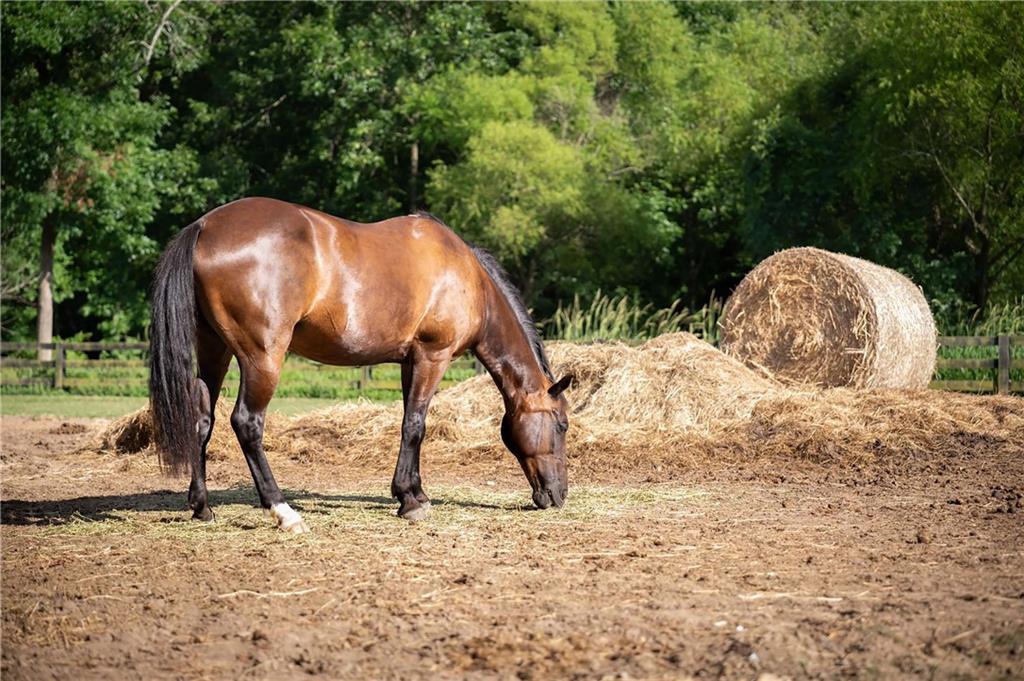 Echo at Crabapple - Residential