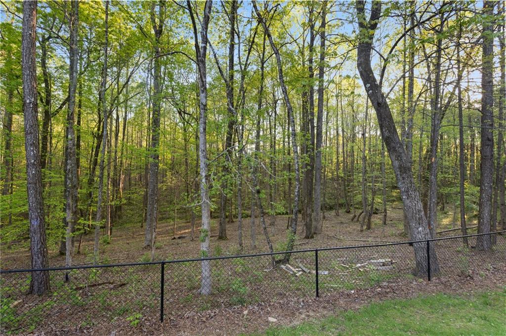 41 Arbor Hills Way, Talking Rock, Georgia image 32