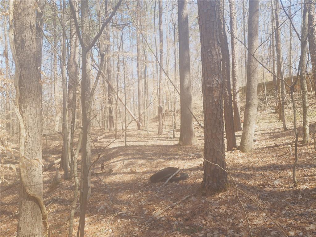 3060 Macedonia Road, Powder Springs, Georgia image 5