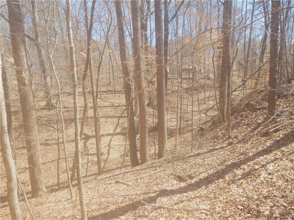 3060 Macedonia Road, Powder Springs, Georgia image 3