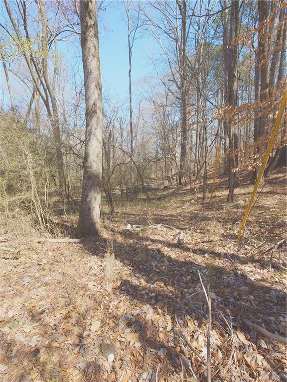 3060 Macedonia Road, Powder Springs, Georgia image 7