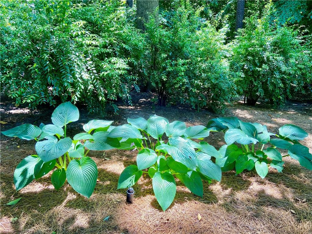 1679 Kellogg Springs Drive