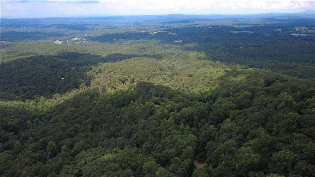 00 Firetower Road Rd