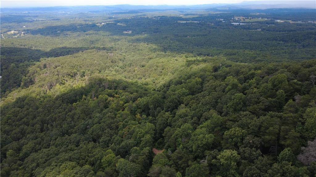 00 Firetower Road