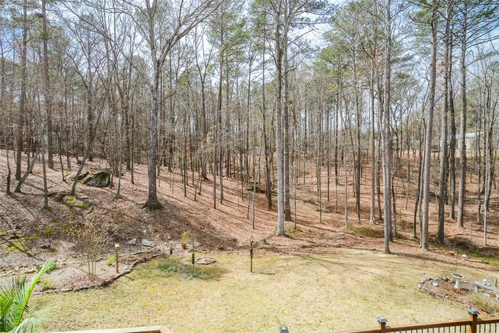 120 Mill Creek Court, Acworth, Georgia image 24