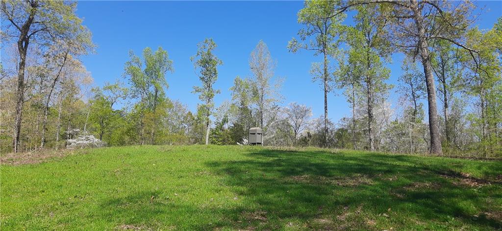 1251 Bar T Ranch Road, Talking Rock, Georgia image 15