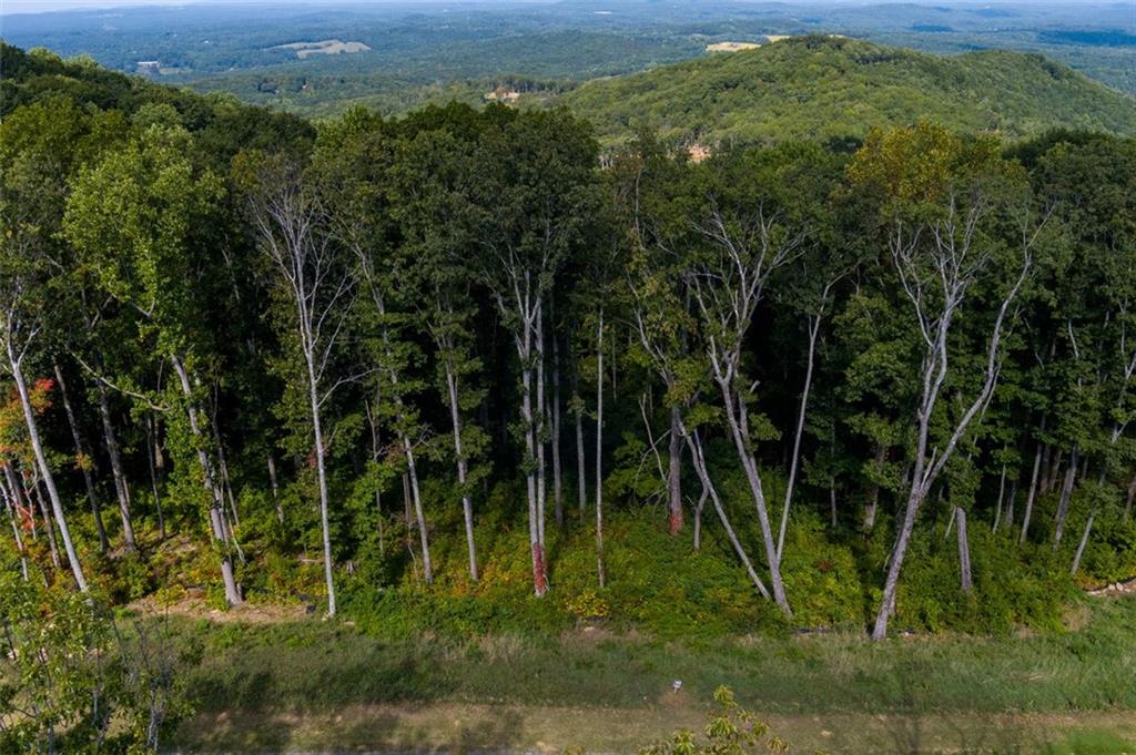 High Summit Drive Lot 40, Talking Rock, Georgia image 10