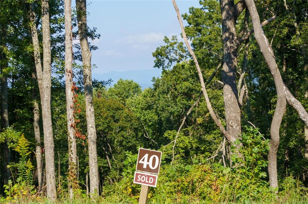 High Summit Drive Lot 40, Talking Rock, Georgia image 14