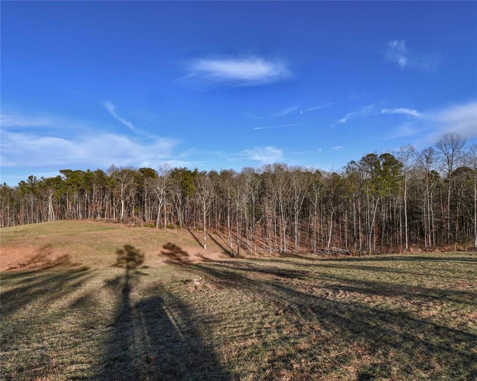 540 Bryant Loop, Ranger, Georgia image 9