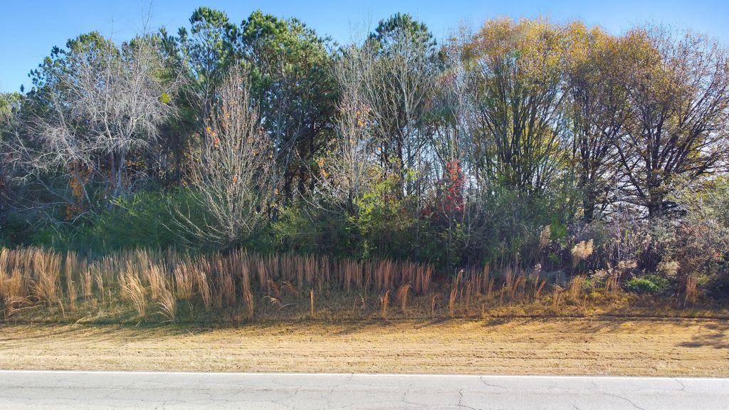 Mcdonough Parkway, Mcdonough, Georgia image 8