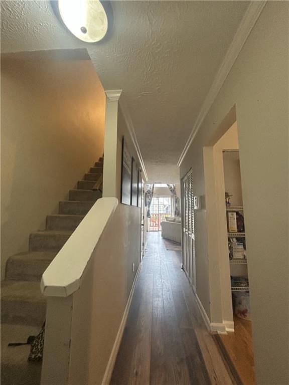3414 Bayshore Drive, Atlanta, Georgia image 10