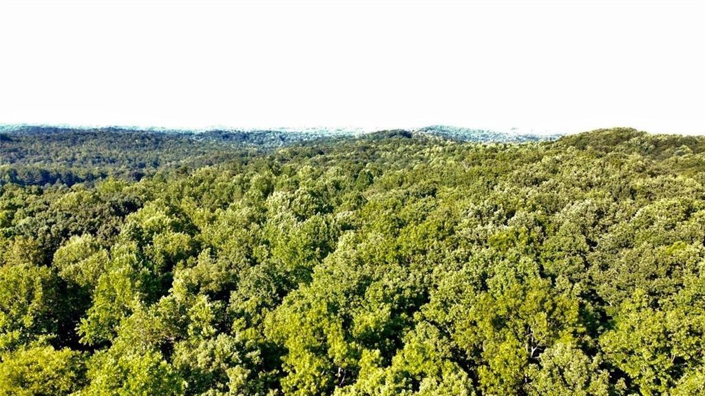 LOCATION! This property is an excellent opportunity for future residential development, ideally suited for multi-family estate lots. It is conveniently located just 6 minutes West of GA400, on Hwy 53/Dawsonville Hwy, and only 10 minutes from North Georgia Premium Outlets. The total available acreage is 39.81 acres, comprised of 3 parcels being sold together. (18.53ac, 16.23ac, and 5ac) which will not be subdivided or sold separately. The property boasts approximately 1200 ft of Hwy road frontage and offers a small ridge with mountain views. There's also a potential for commercial development in the growing area of Forsyth County. The sellers are motivated. Developers bring your plans!