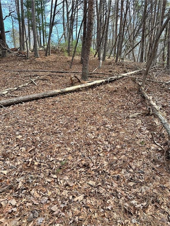 0 Log Swamp Drive