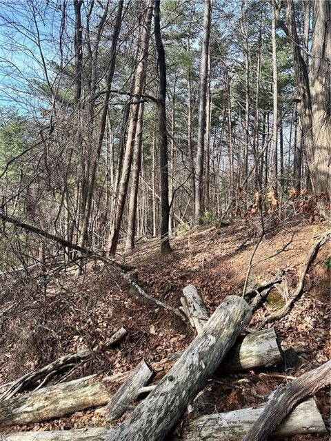 Vacant Land For Sale - Log Swamp Dr. Drive<br/> Pickens County, Jasper, GA 30143