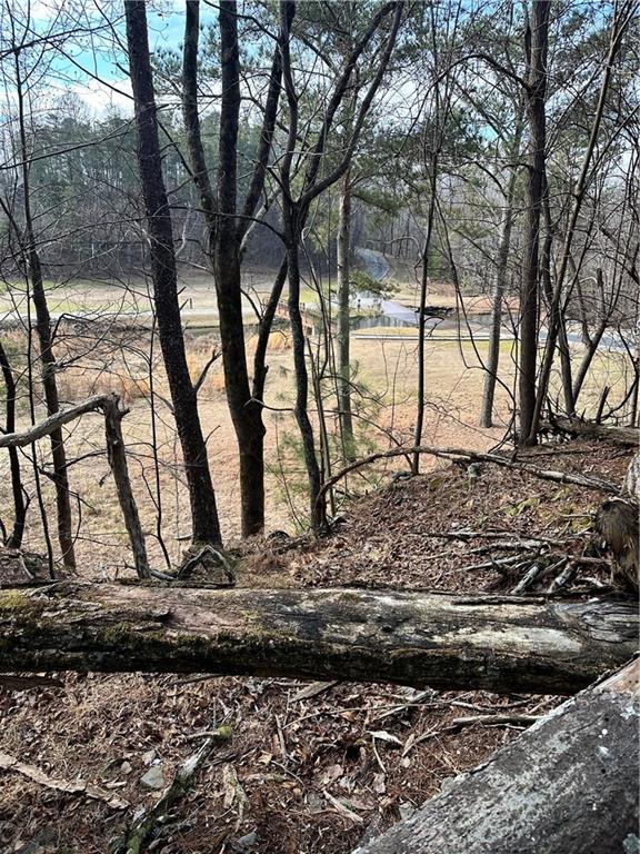 0 Log Swamp Drive