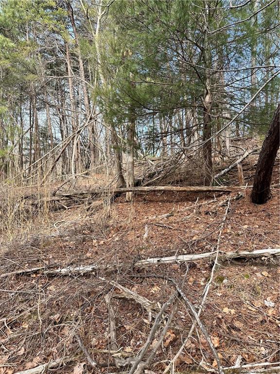 0 Log Swamp Drive