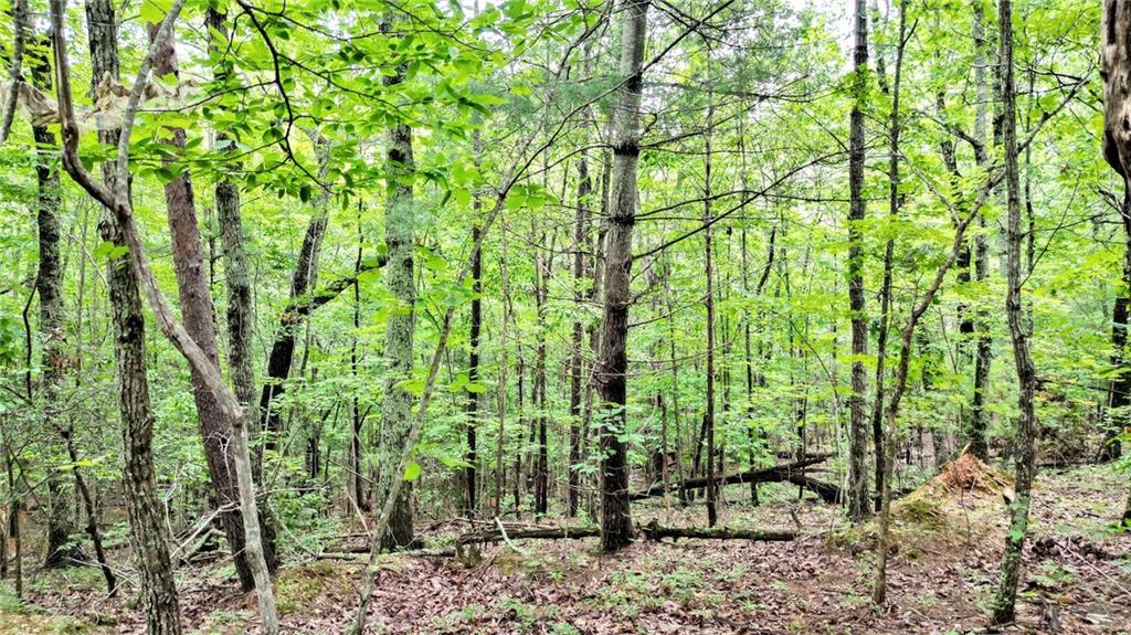 23.83 Pine Crest Road