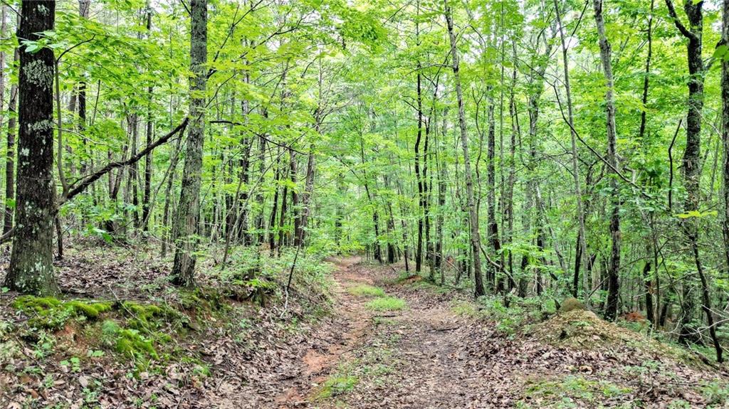 23.83 Pine Crest Road