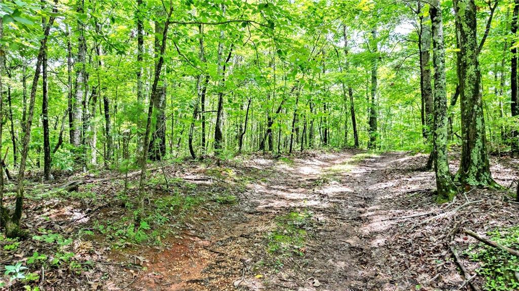 23.83 Pine Crest Road