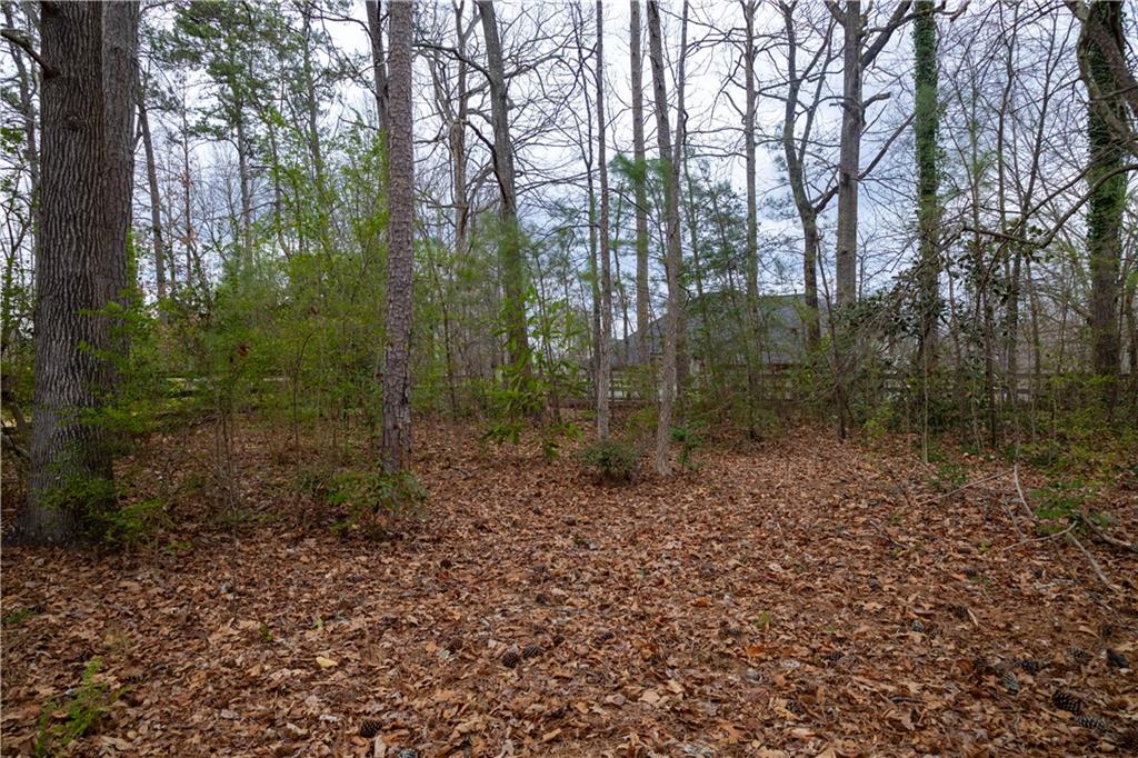 1159 Bowerie Chase, Powder Springs, Georgia image 48