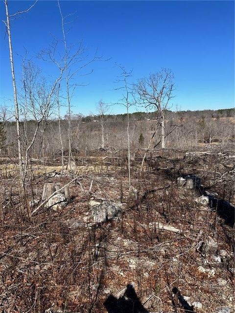 Unimproved Land in Taylorsville GA 00000 Satcher Road.jpg