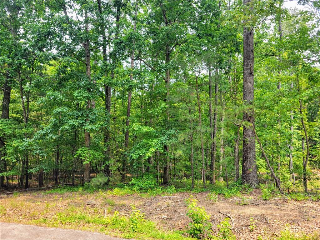 An incredible opportunity awaits to create your dream home in the highly sought-after, private, 24-hour gated community of Fairfield Plantation. This spacious lot offers a serene, secluded setting on a quiet, private road, while still being within walking distance to all the exceptional amenities this community has to offer. Imagine waking up to breathtaking views and enjoying scenic walks through lush landscapes, all within the safety and tranquility of this exclusive neighborhood. Fairfield Plantation boasts a marina, multiple dining options, tennis courts, playgrounds, and sparkling pools, ensuring you'll have endless opportunities to relax and socialize. Located in the charming city of Villa Rica, this lot provides the perfect balance of peaceful seclusion and convenient access to a variety of recreational activities. Build the home you have always dreamed of in a community that truly has it all.