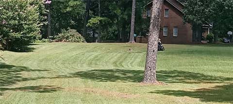Vacant Land For Sale - 207 Timberland Drive Dr<br/> Cordele, GA 31015