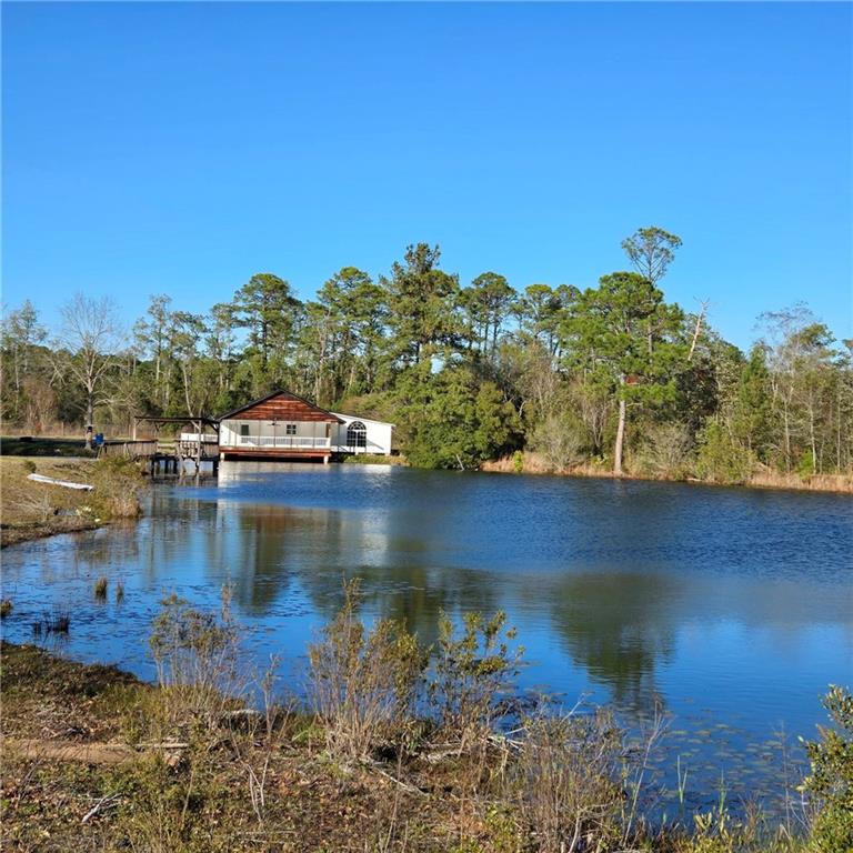 2606 Beechwood Drive, Jesup, Georgia image 46