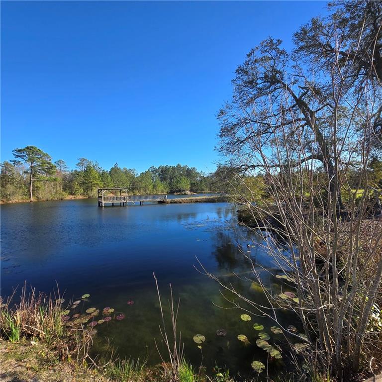 2606 Beechwood Drive, Jesup, Georgia image 28