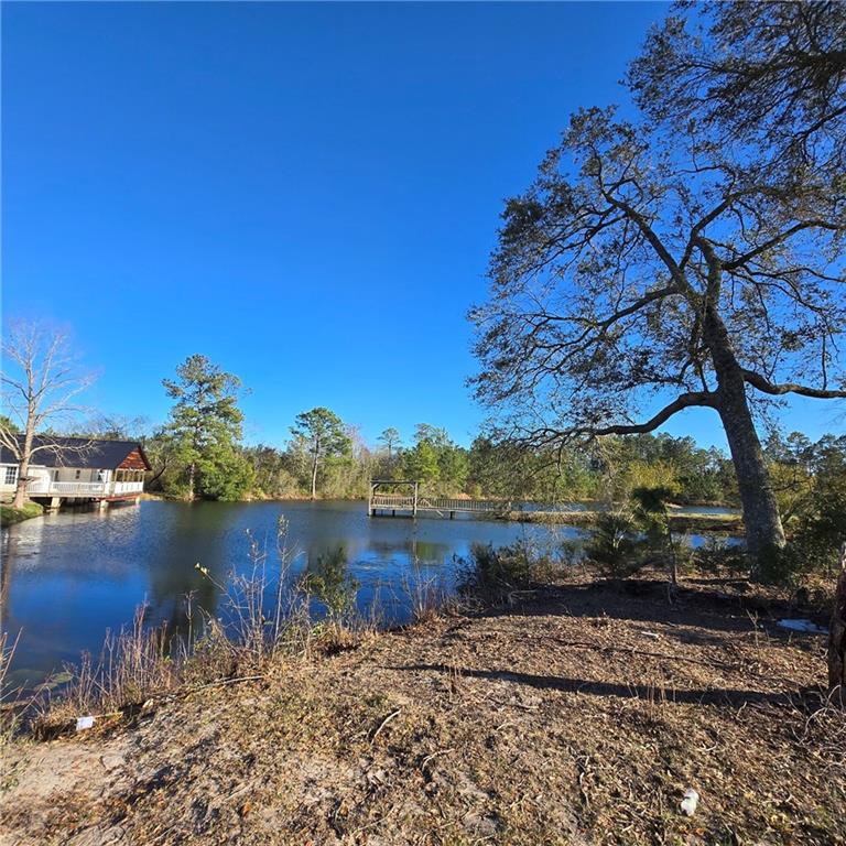 2606 Beechwood Drive, Jesup, Georgia image 27