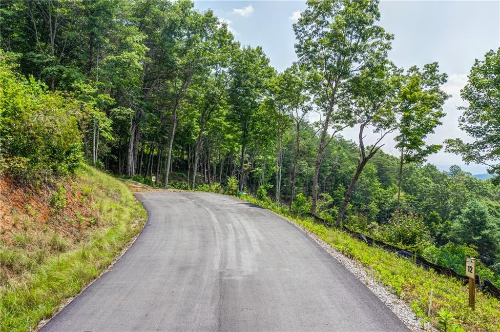 White Oak Circle, Blue Ridge, Georgia image 3